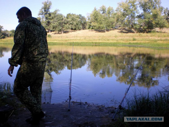 Командировка в Волгоград