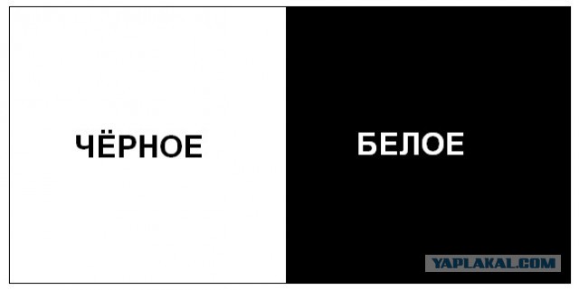 Кончита проплакала всю ночь...