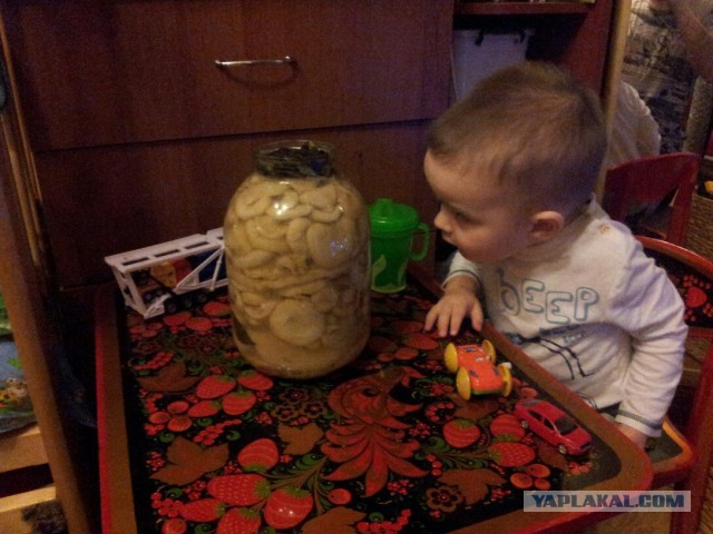 Вспомним лето! Вылазка за грибами.