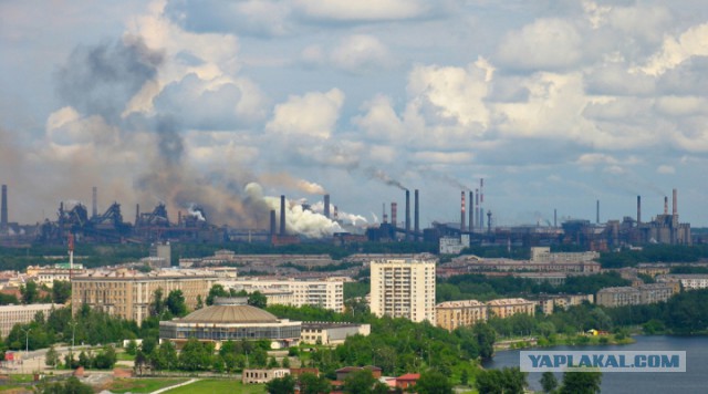 Тамбовский волк тебе товарищ...