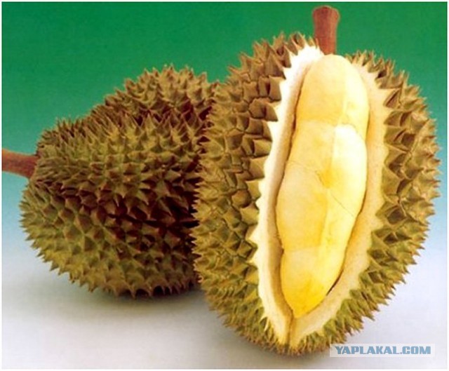 Это как-то слегка настораживает