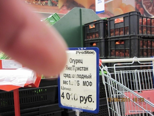 Как я провёл лето у тёщи в Беларуси