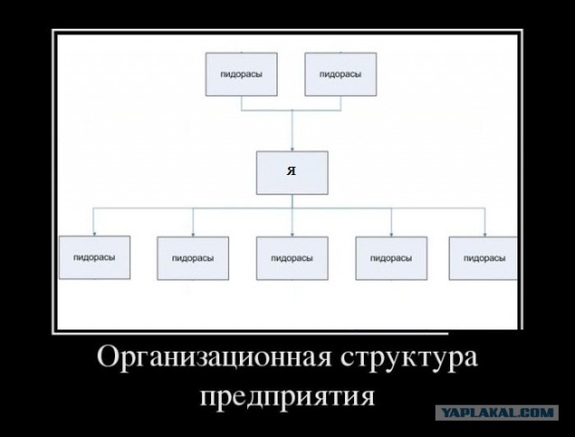 День - полная жопа