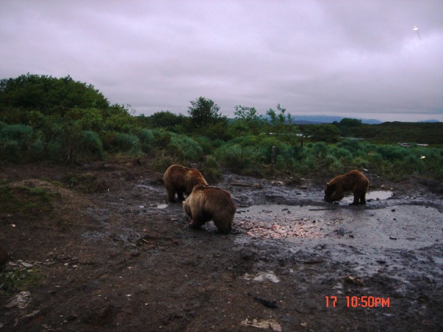 Путина 2005, Камчатка