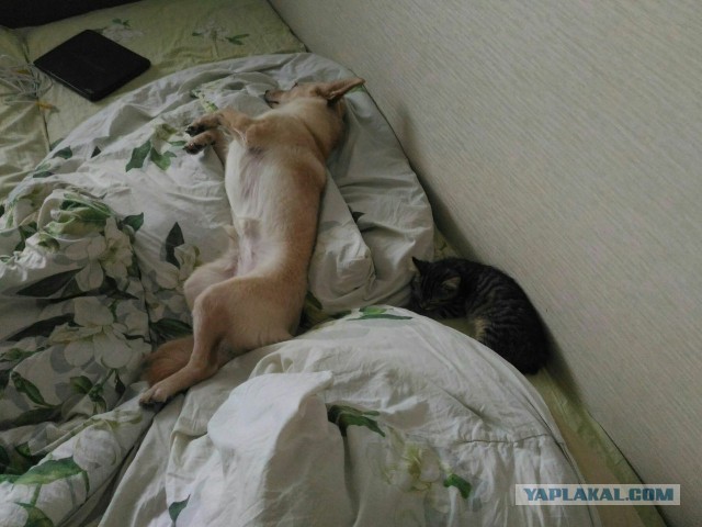 Хочу поделиться радостью