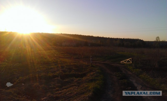 Я узнал, что у меня есть огромная семья