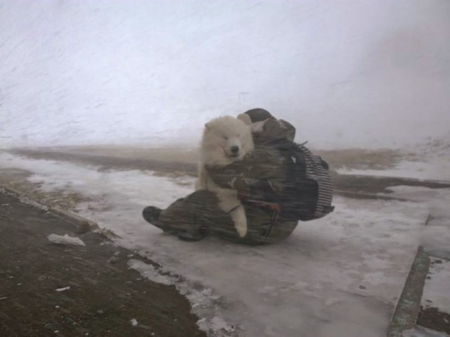 Моменты, запечатлённые на фото и просто позитив 2