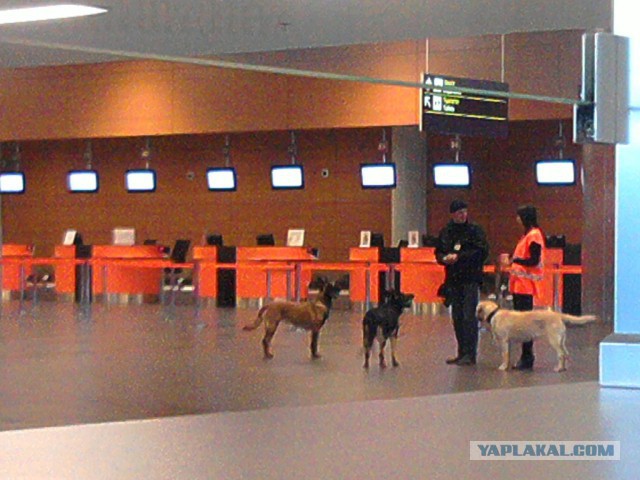 Как строили Донецкий аэропорт