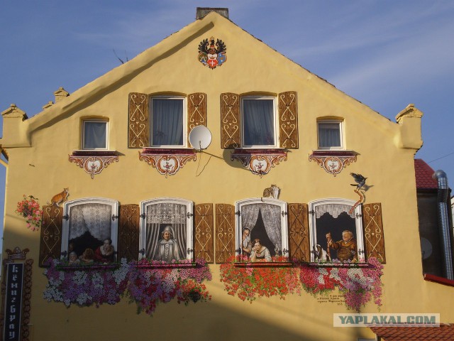 Крякнет ли серый гусь?