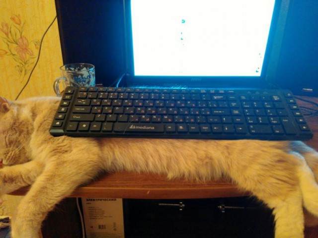 Фотоподборка