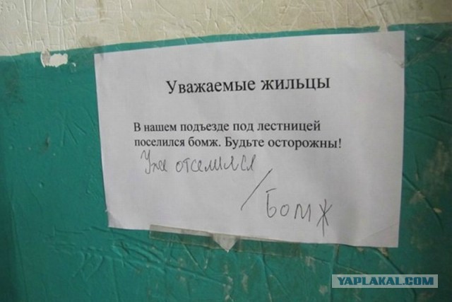 15 душевных объявлений из наших подъездов
