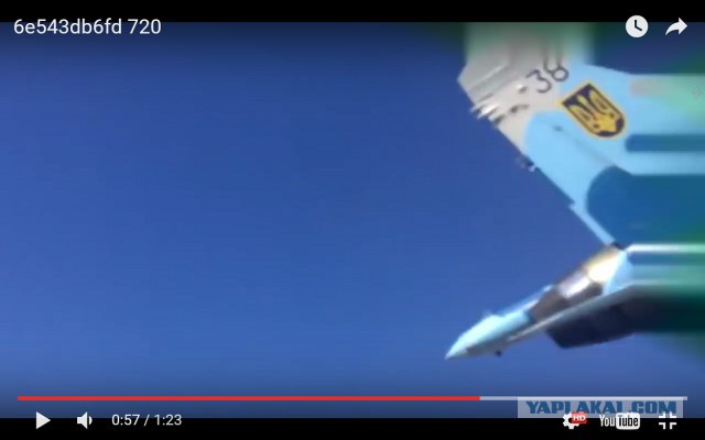 Видео опасного маневра Су-27 над головами людей опубликовано в Сети