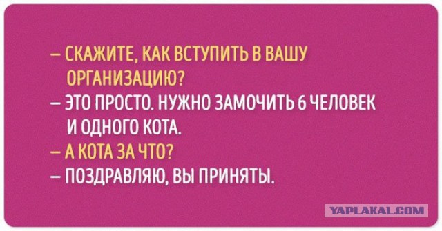 Очень чёрный юмор. Чёрный, как моя душа