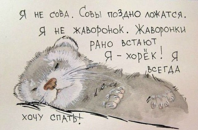 Порция приколов на утро.