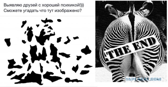 Голову сломал уже