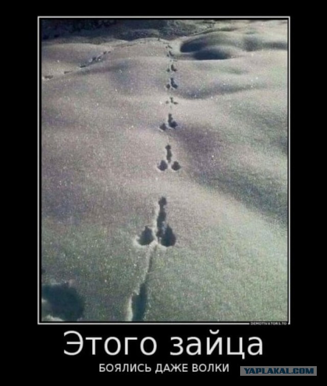 Всяко-разно из тырнэта