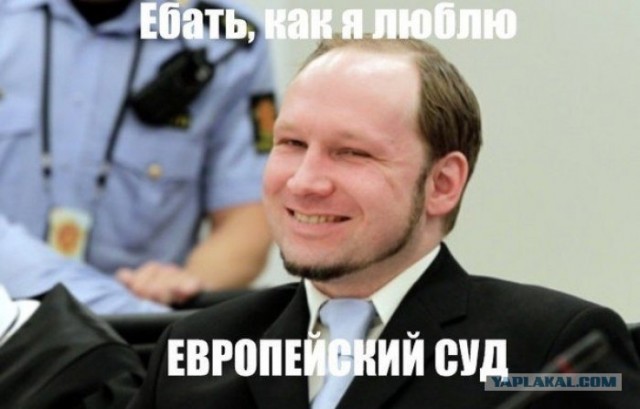 Андреасу Брейвику разрешили нанимать проституток.