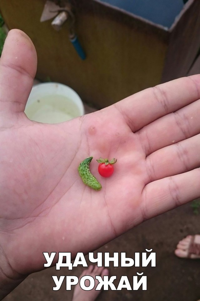 Прикольные картинки абавсём