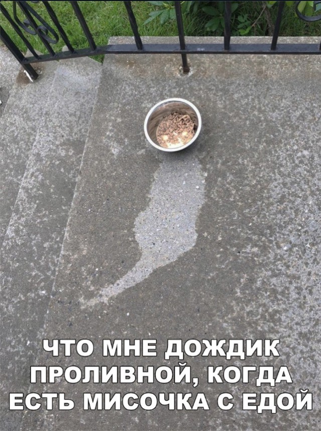 Нестандартный юмор