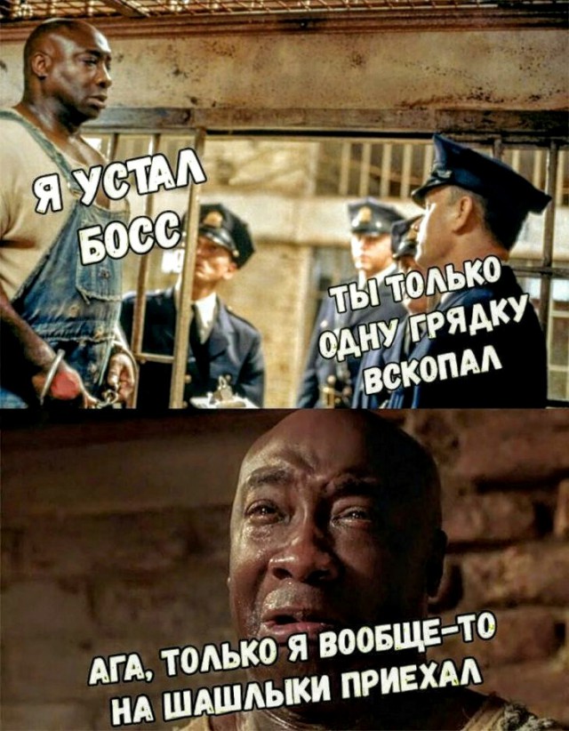 Анекдоты, истории и картинки с надписями