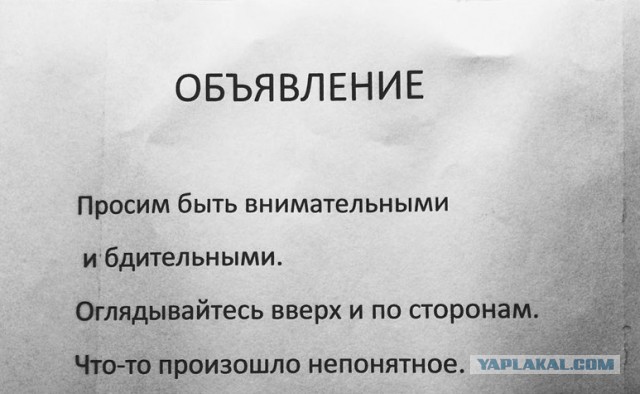 Из аэропорта Геленджика вылетело более 20 чартеров. Мы на волне какого-то события