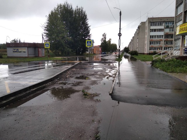 Не кричу, не возмущаюсь, не ругаю власти - просто беру грабли и очищаю решётку ливнёвки