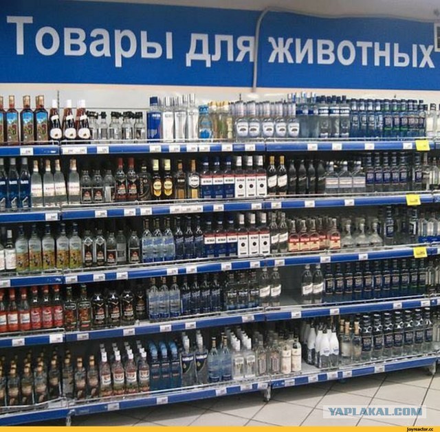 Фантастические соц-сети и их обитатели