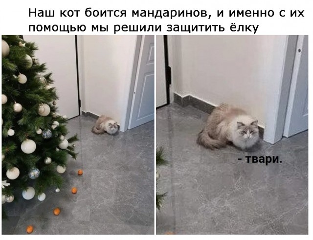 Юмор в картинках 30.11.20