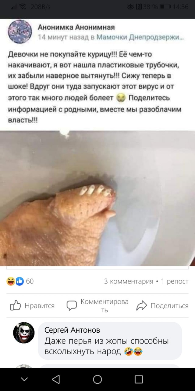 Боянистые картинки 12.12.20