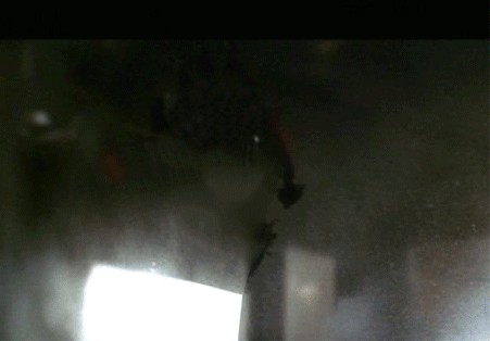 Фотожаба: ...как будто он не пьяный