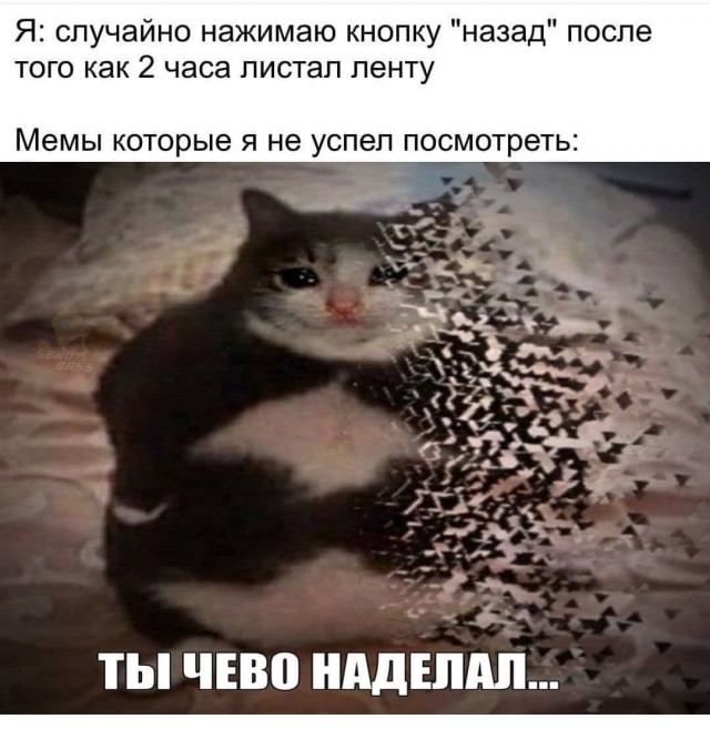 Эй вы, давно не деградировали?!