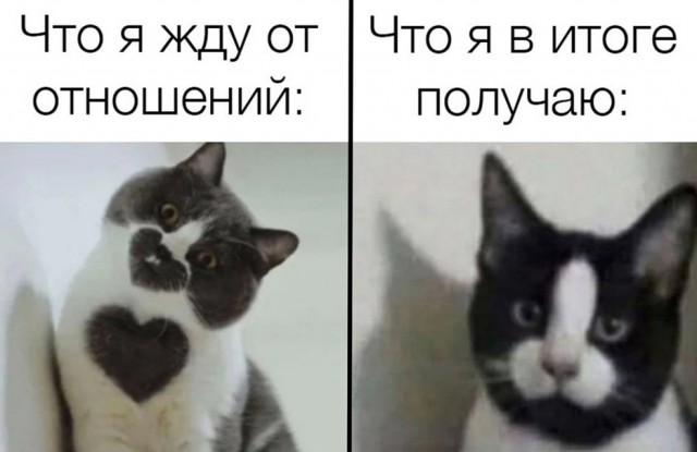 Кретинизмы из сети 20.07.21
