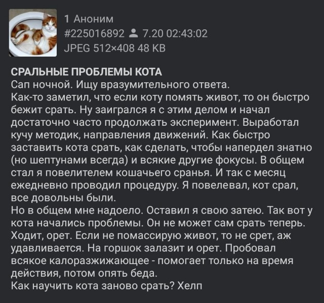 Картинки и мемы для настроения 28.07.2021