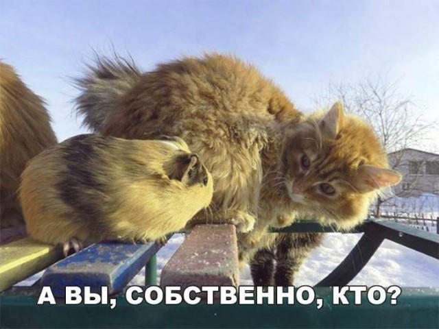 Картинки на вчера