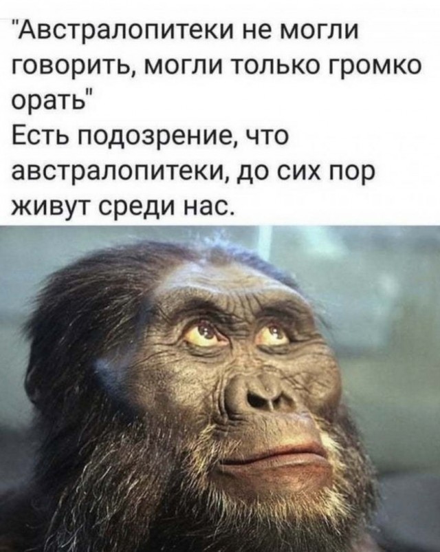 Картинки и мемы для настроения