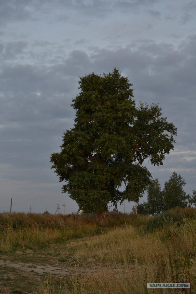 Белая гора