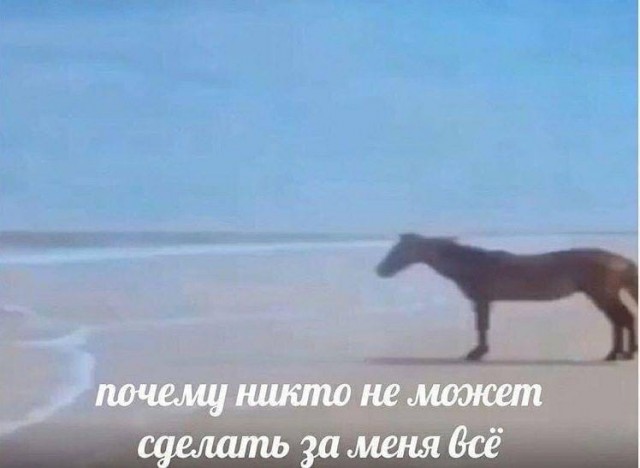 Так себе картинки 02.06.22