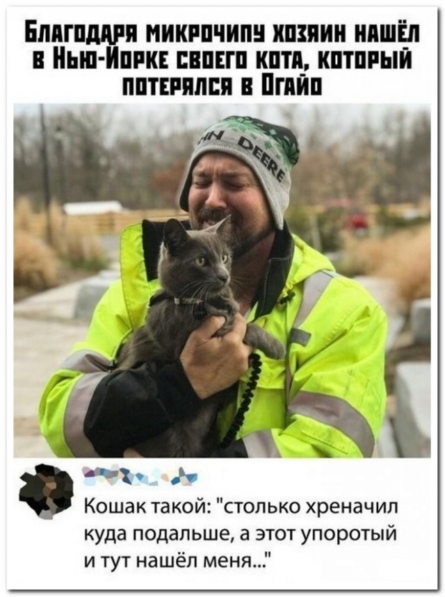 Забавные комментарии из социальных сетей (13.06.22)