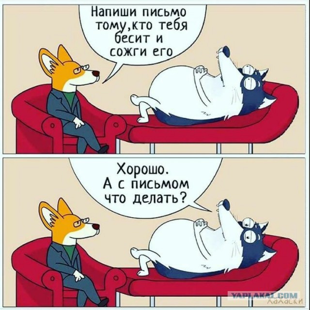 Весёлый полтишок 11.08.22