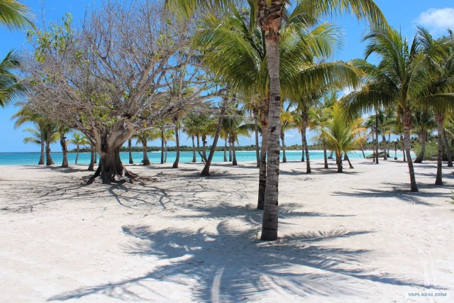 Поездка в Мексику (за деньги)