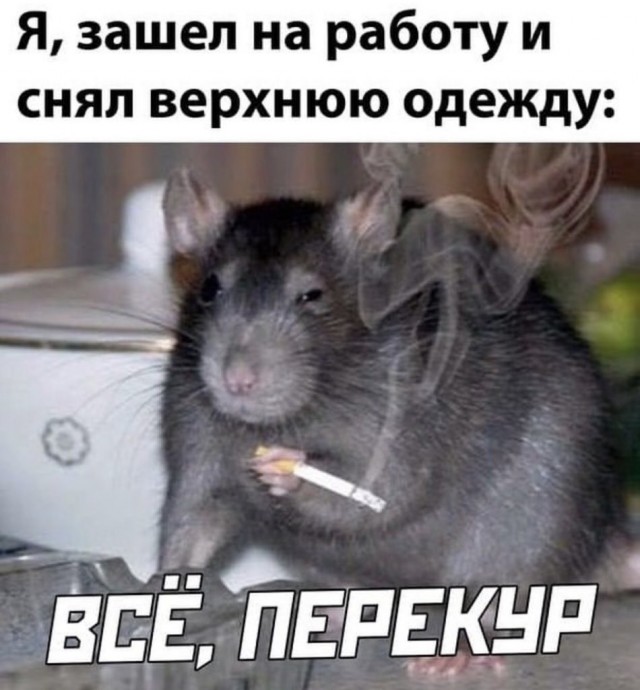 Баянисто-небаянистый юмор 24.10.22