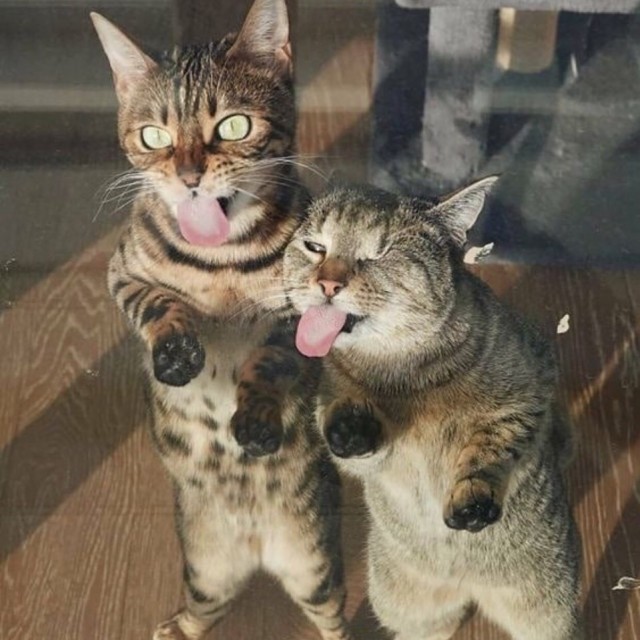 Шок