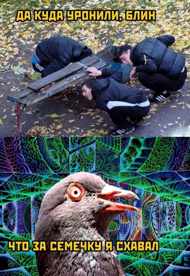 Народная меДИЧина 9007