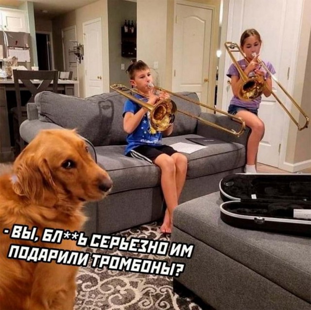 Картинки и мемы, всем хороших выходных