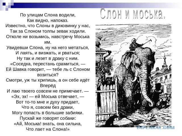 Послание Путина. Выжимка важных моментов, которые тебе нужно знать!