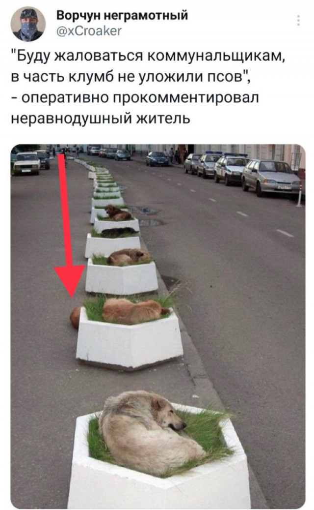 Буду жаловаться