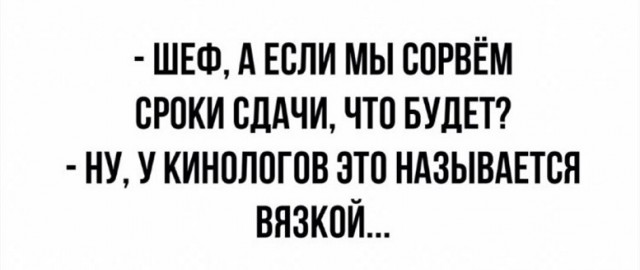 Подборка картинок 17.05.2023
