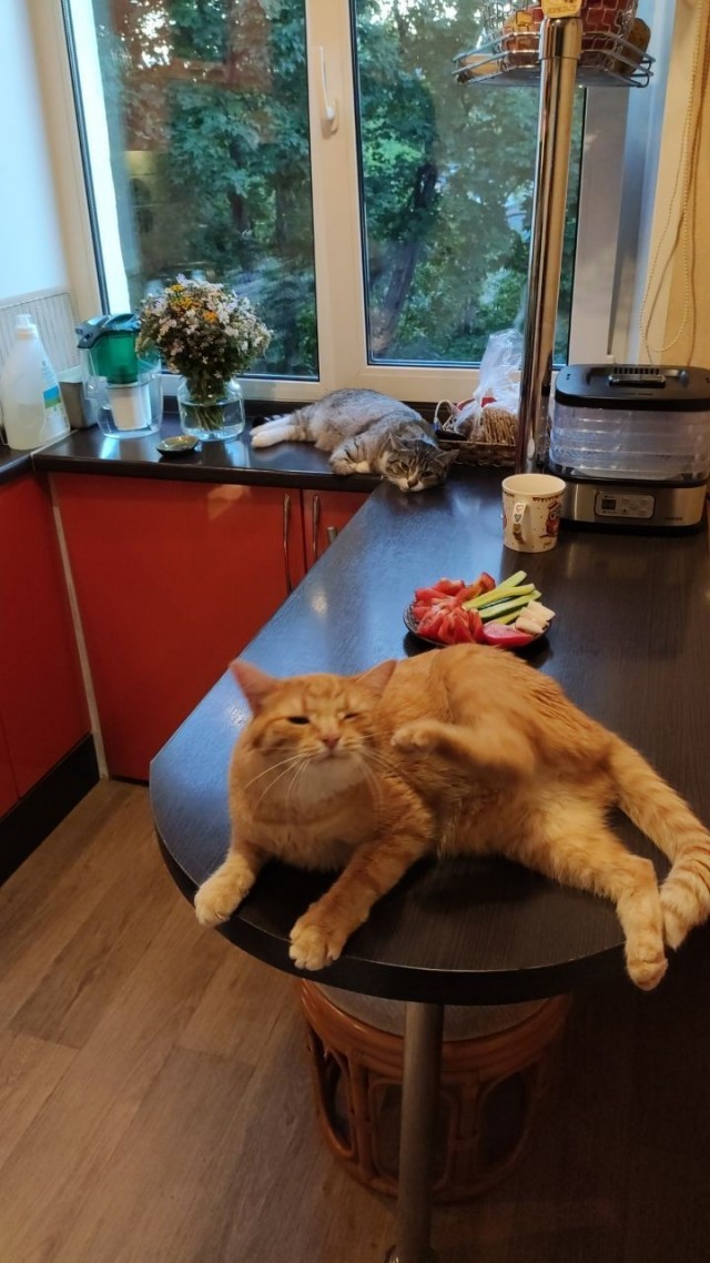 ЯПлакалъ и Пикабу все же могут жить дружно!