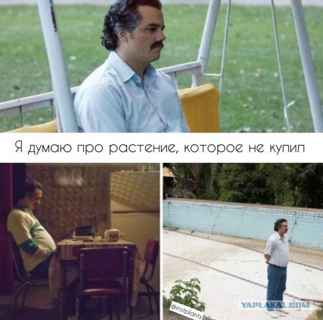 "Меня зовут Арлекино": суть женщин не меняется  в любые времена