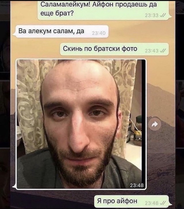 Так себе картинки 14.09.23